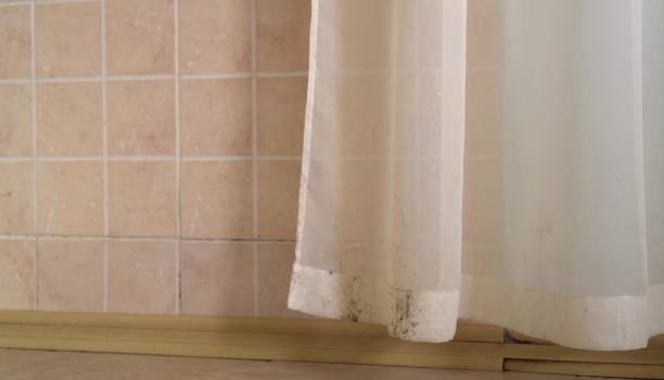 Best Commercial Mold Inspection  in Wyboo, SC
