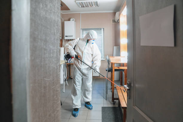Best Mold-Related Health Consultation  in Wyboo, SC