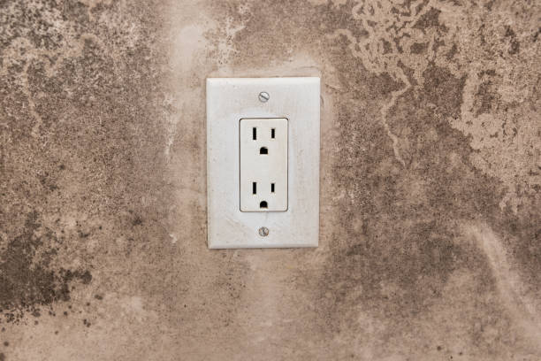 Best Real Estate Mold Inspection  in Wyboo, SC