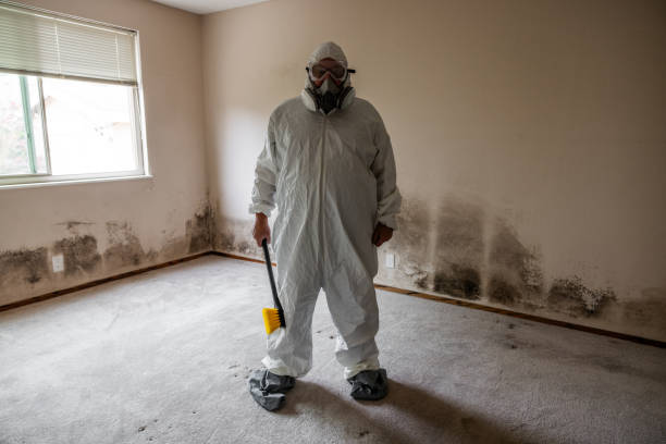 Best Industrial Mold Remediation  in Wyboo, SC